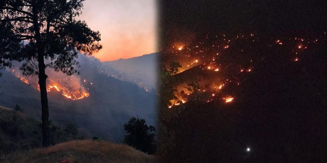 Kahramanmaraş'ta 14 saatin sonunda söndürülen orman yangınında 100 hektar alan küle döndü