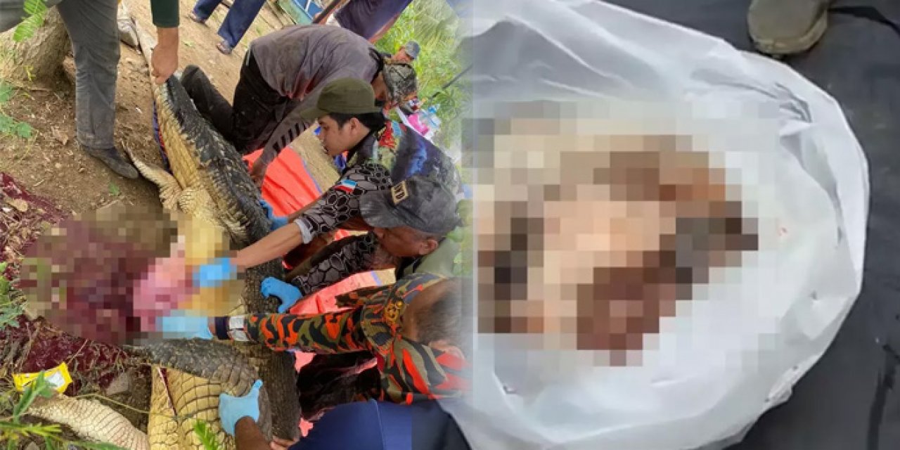 4 gündür aranan kişi timsahın içinden çıktı