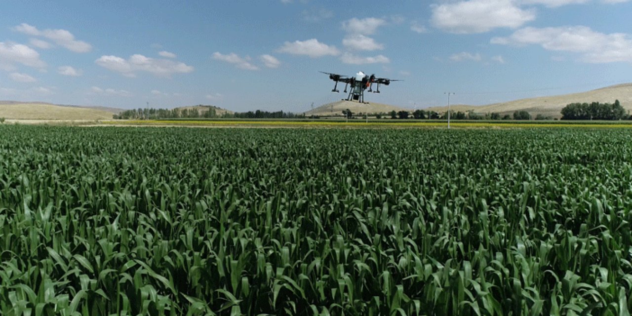 Tarlalarda dronla ilaçlama dönemi