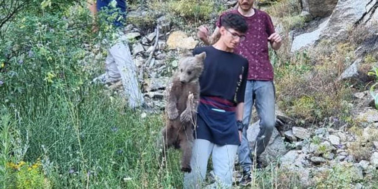 Kütahya’da mahsur kalan yaralı yavru ayı kurtarıldı