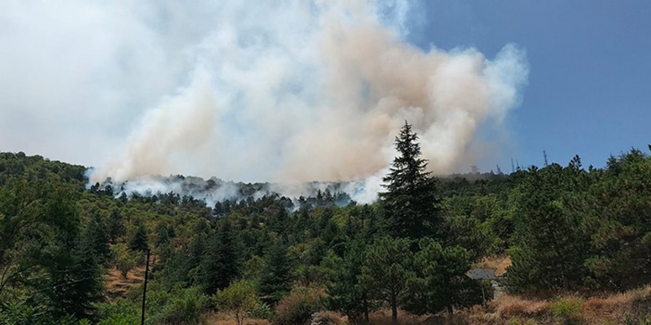 Afyonkarahisar’da orman yangını