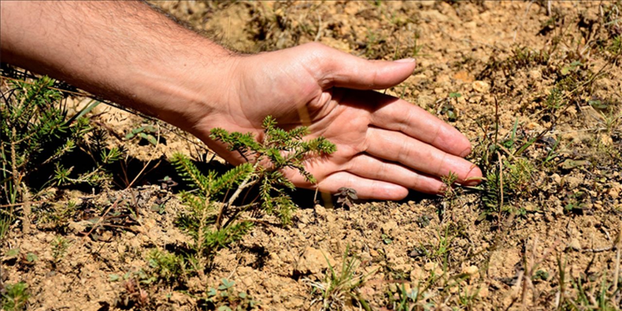 Dünyanın geleceği: Doğal ve yapay felaketler