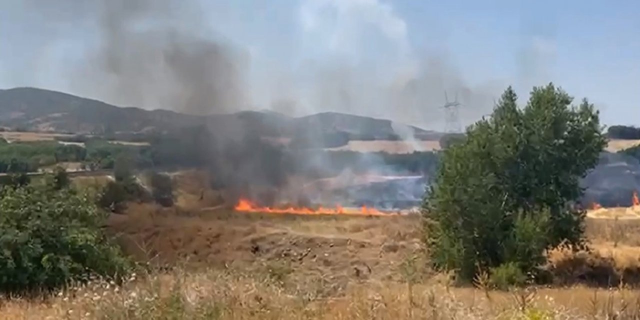 Çıkan yangın 100 hektarlık araziye zarar verdi