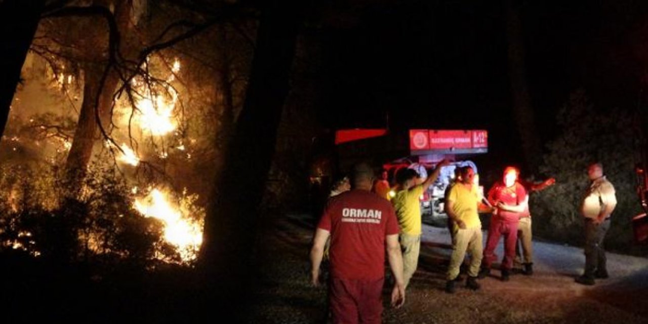 Çanakkale Sarıbeyli köyünde orman yangını çıktı