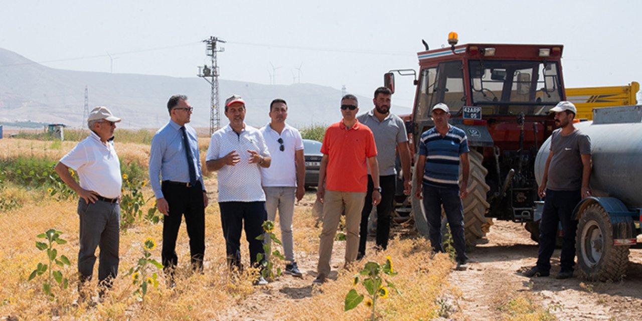 Araştırma ve Uygulama Çiftliği’nde buğday hasadı başladı