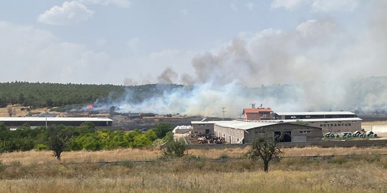 Anızlarda başlayan yangın ormana sıçradı