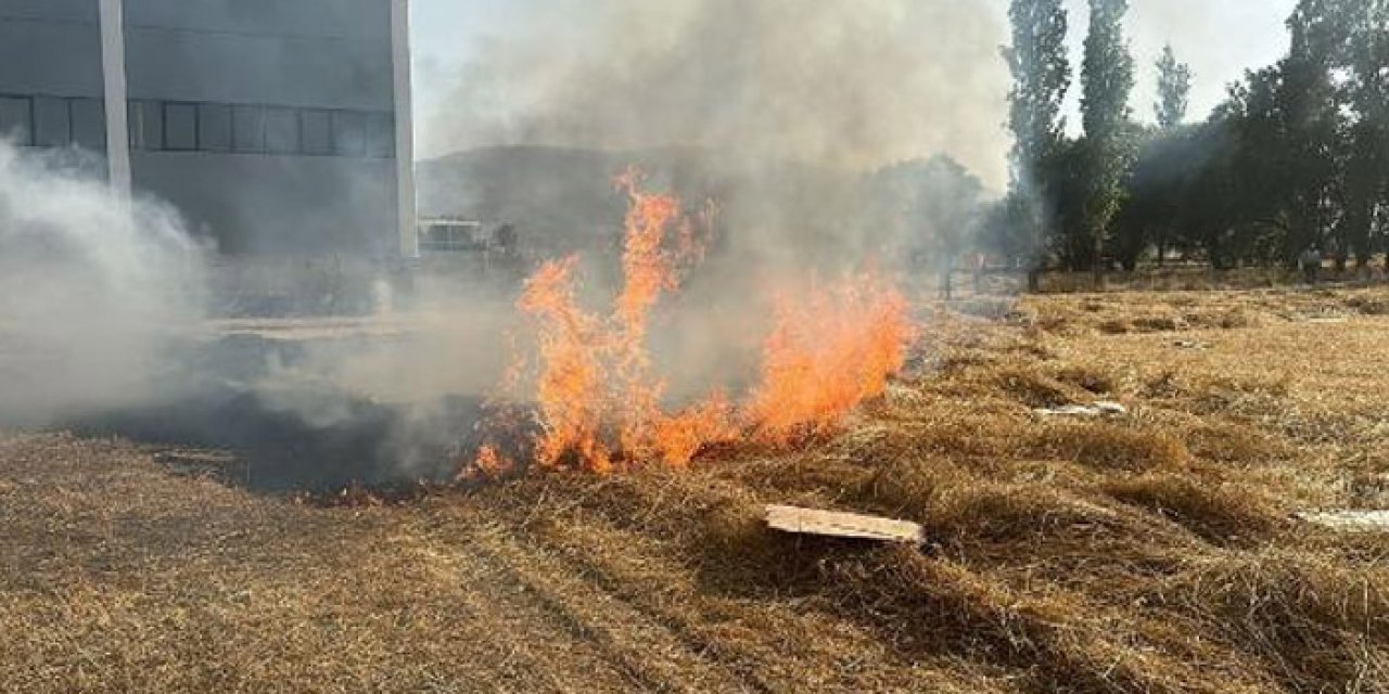 Anız yangını fabrikaya sıçradı: Yol trafiğe kapandı