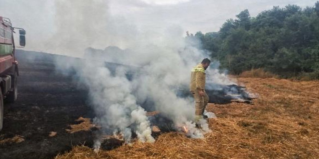 Silivri'de çıkan orman yangını kontrol altında