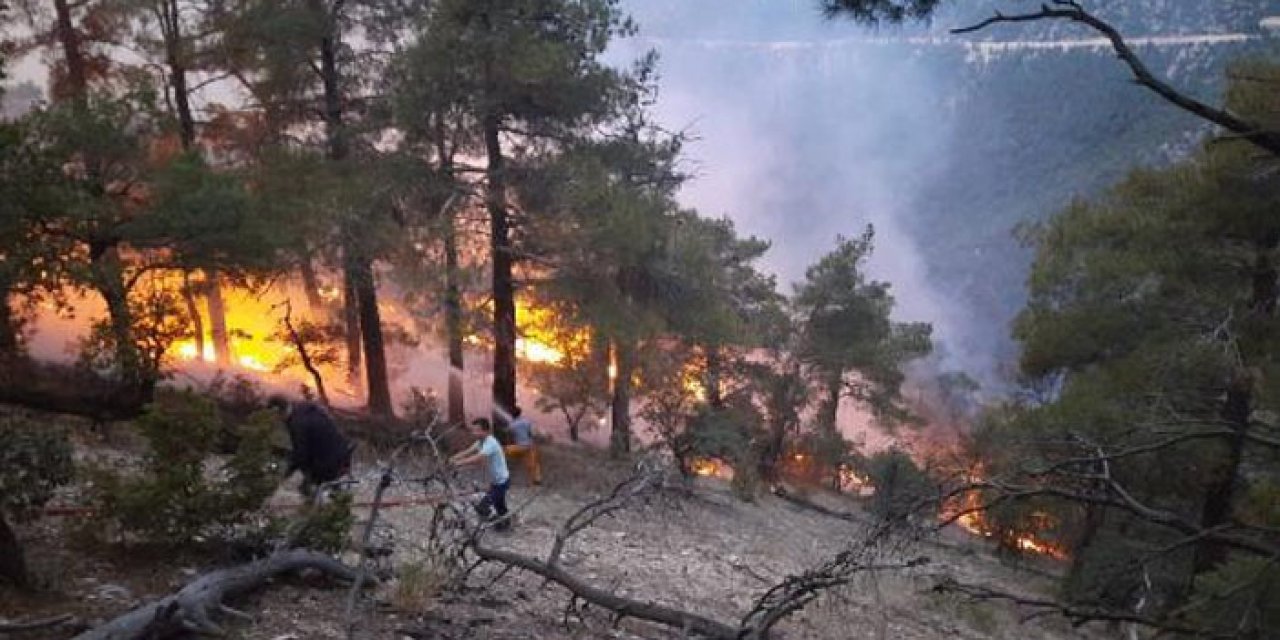 Bolu'da ormana yıldırım düşmesi sebebiyle yangın çıktı