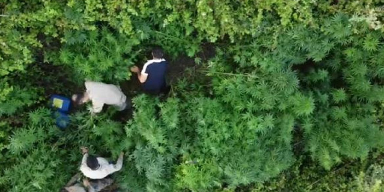 Uyuşturucu satıcılarına operasyon: 6 kişi yakalandı