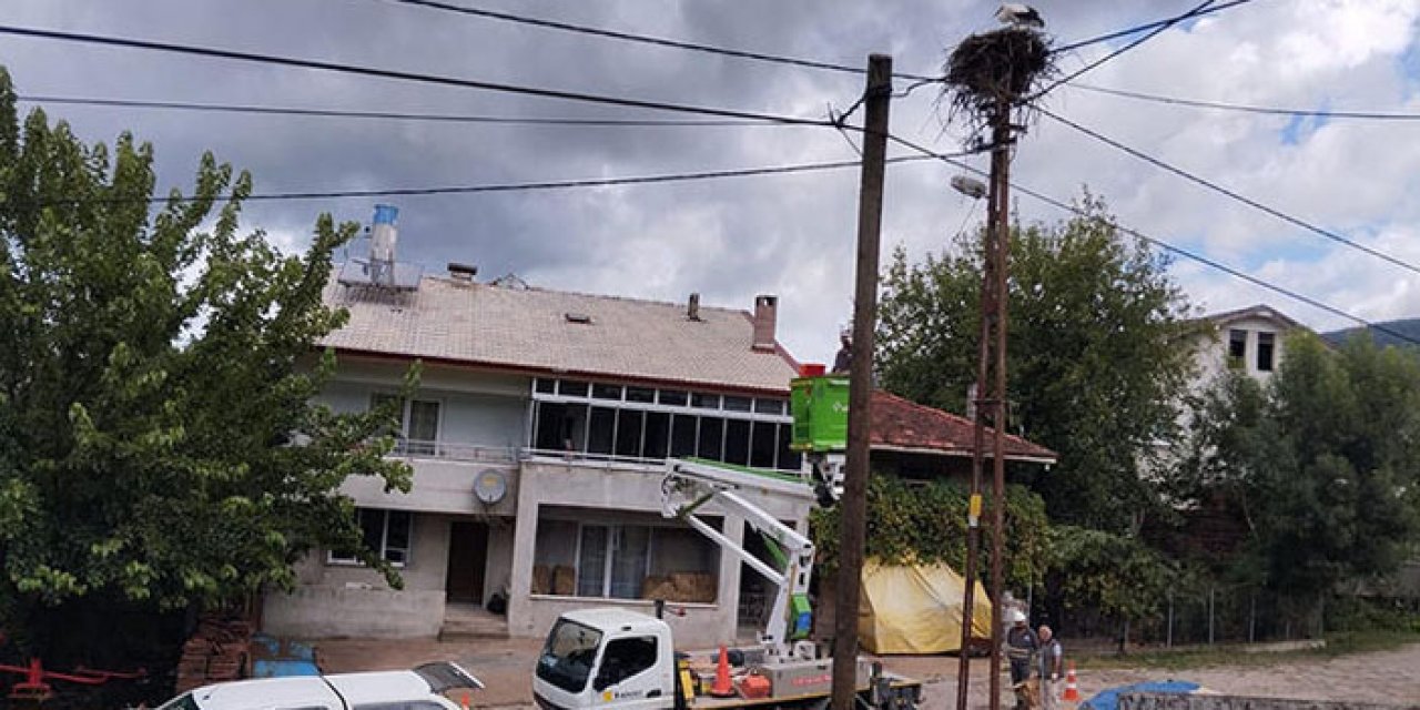 Mahsur kalan leylek kurtarıldı