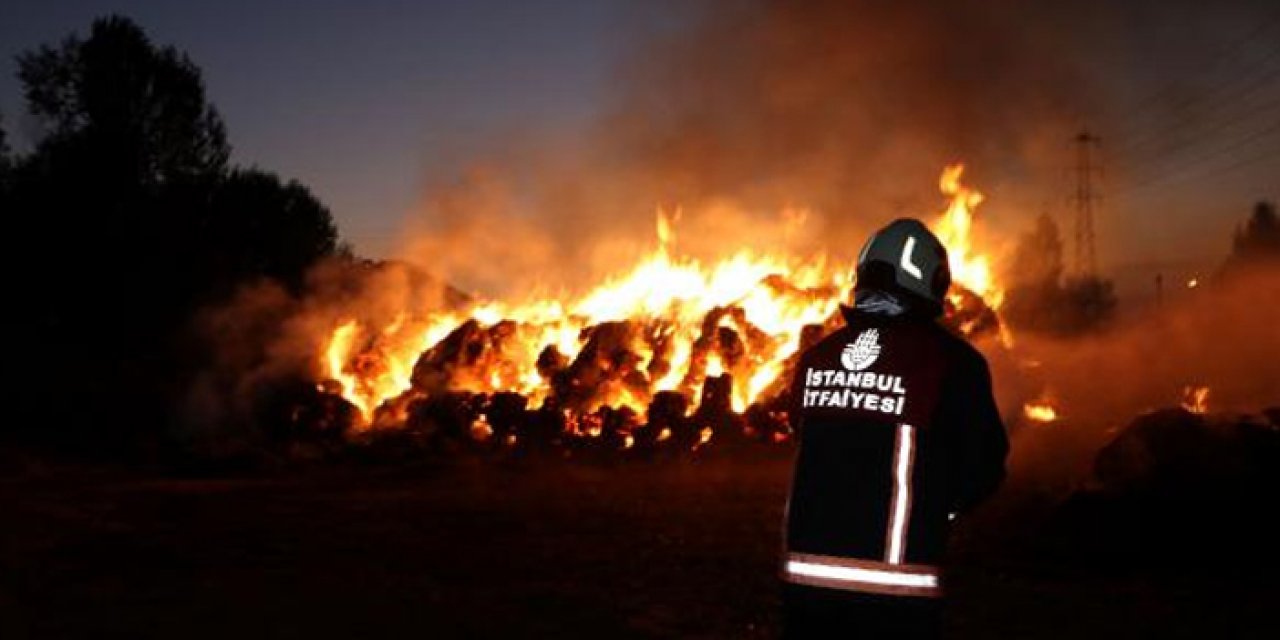 Yangında 21 bin 500  bağ ot kül oldu