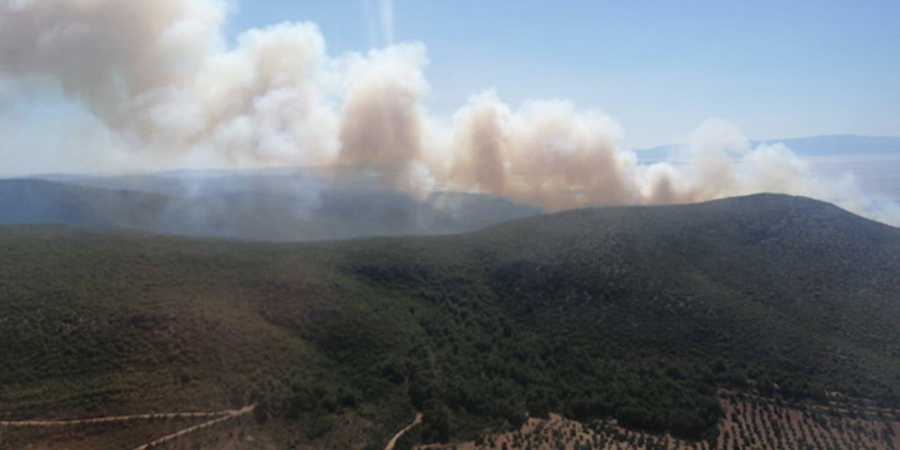 Ülkemizin ciğerleri yanıyor: Çeşme’de orman alevlere teslim