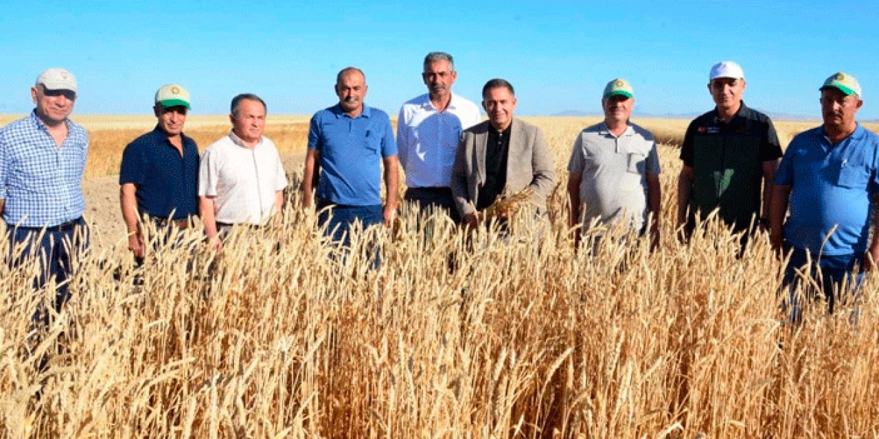 Kırşehir Valisi Buhara'dan hasat öncesi inceleme