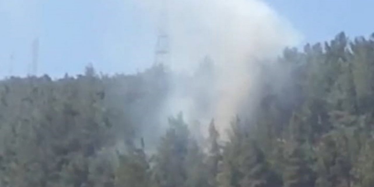 Aynı bölgede 2 gün arayla orman yangını