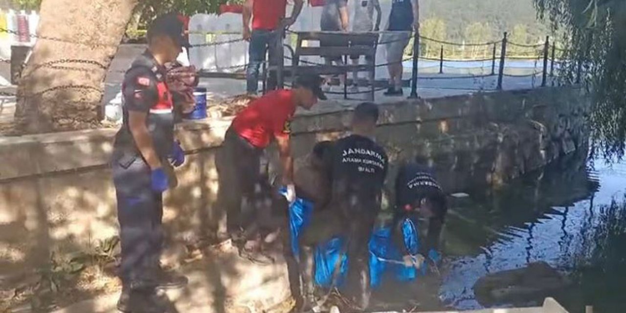 Kaybolan Alzheimer hastasının cesedi Gölcük Gölü’nde bulundu