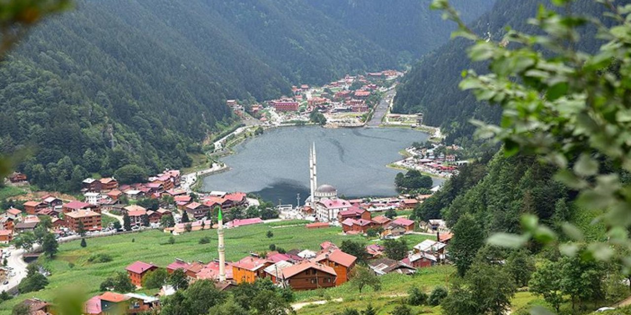 Uzungöl’e millet bahçesi