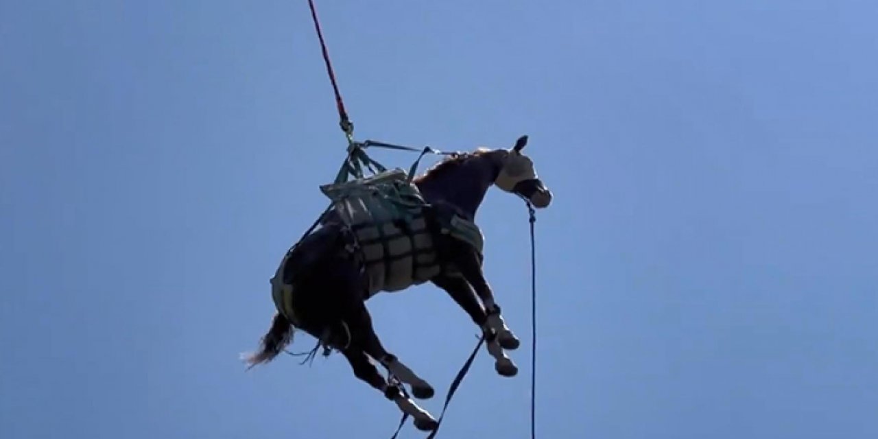 Düşüp yaralanan at böyle kurtarıldı