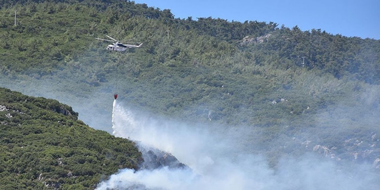 İzmir'de orman yangını