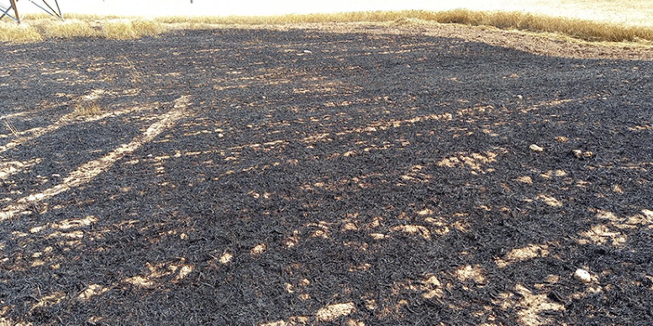 Beypazarı'nda korkutan anız yangını