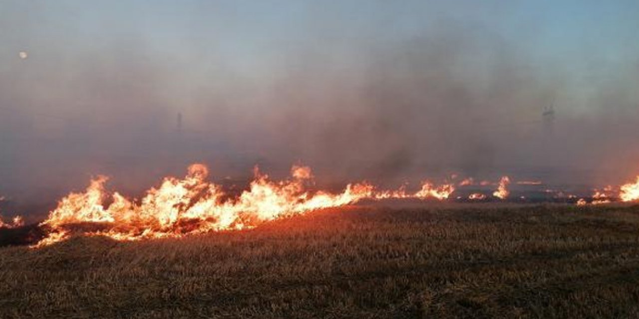 Silivri'de otluk yangını çıktı