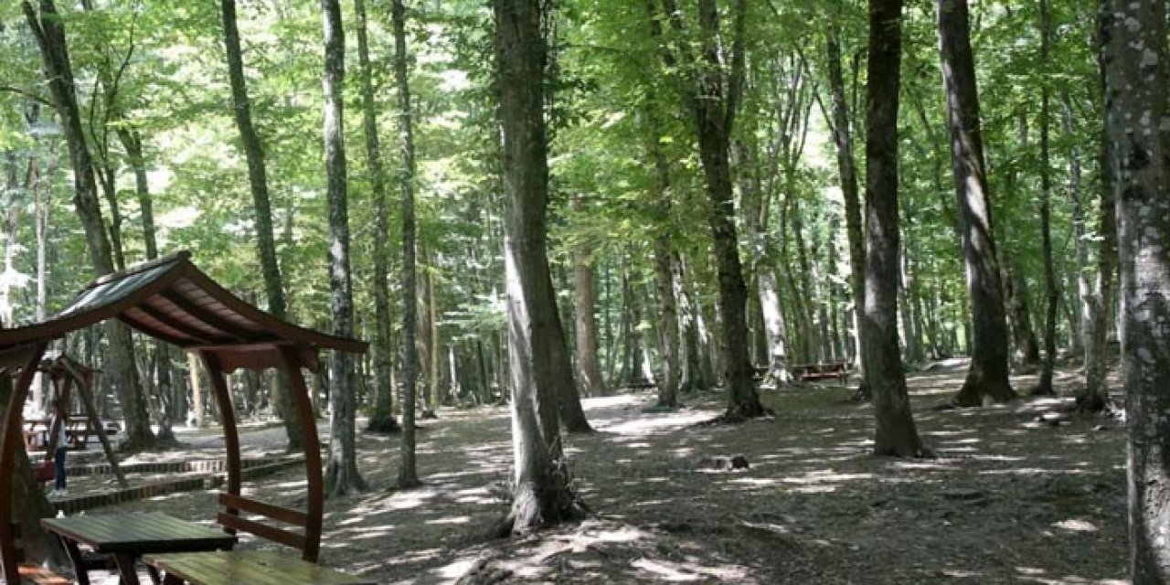 Orman yasaklarına uymayanlara 38 bin lira ceza