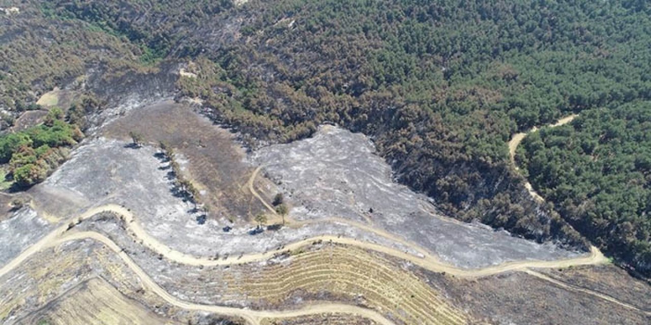 Röntgen çekildi: Ciğerlerdeki hasar belirlendi