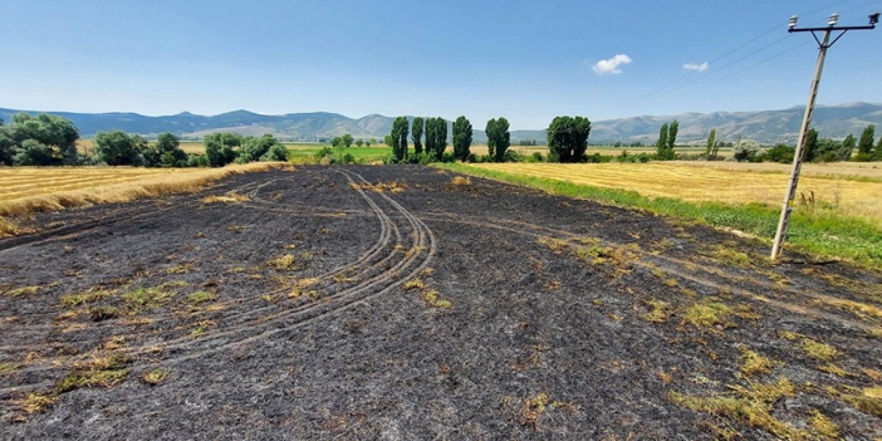 2 bin dekar buğday yandı