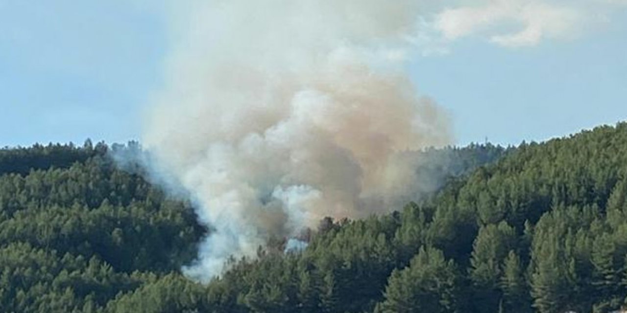 Muğla'da yangına havadan ve karadan müdahale