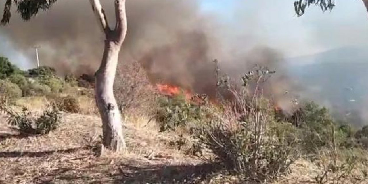 Bodrum'da makilikte yangın çıktı