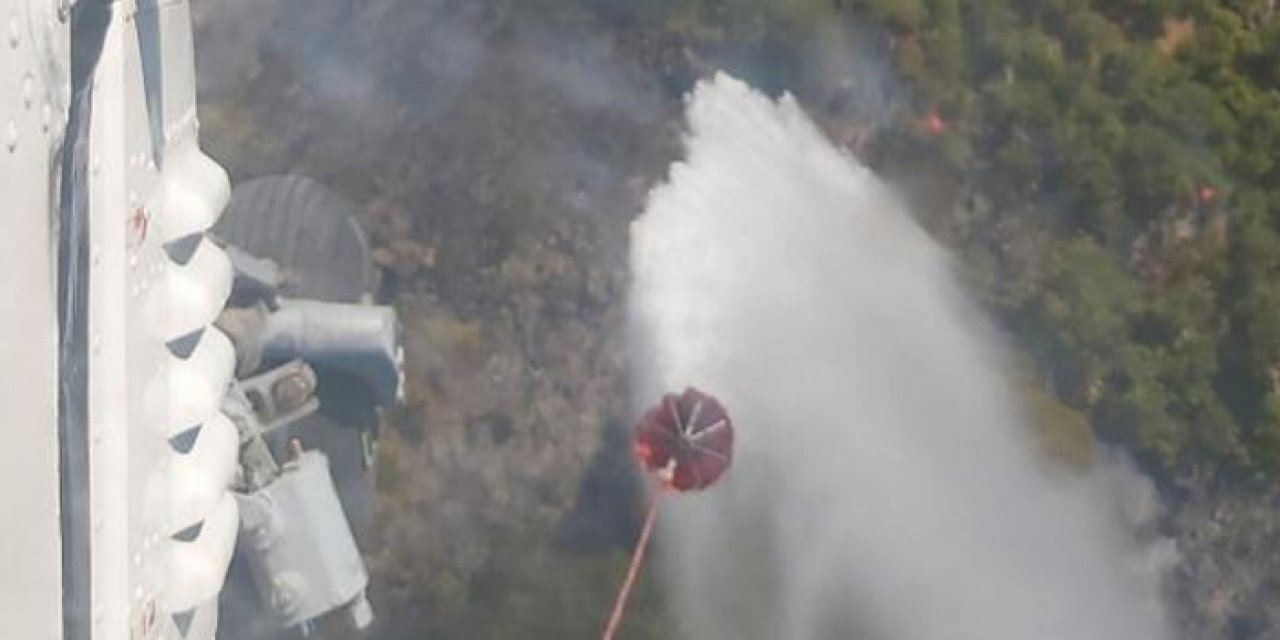 Soma ilçesinde orman yangını çıktı