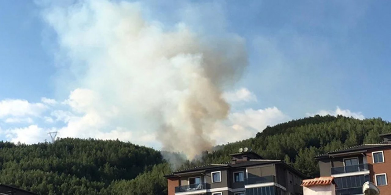 Manisa'da orman yangını kontrol altında