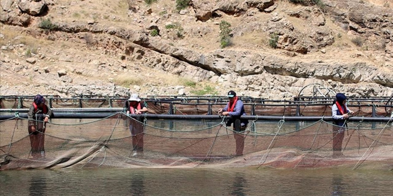 Elazığ’da kadınlar ekmeğini Fırat Nehri’nden çıkarıyor