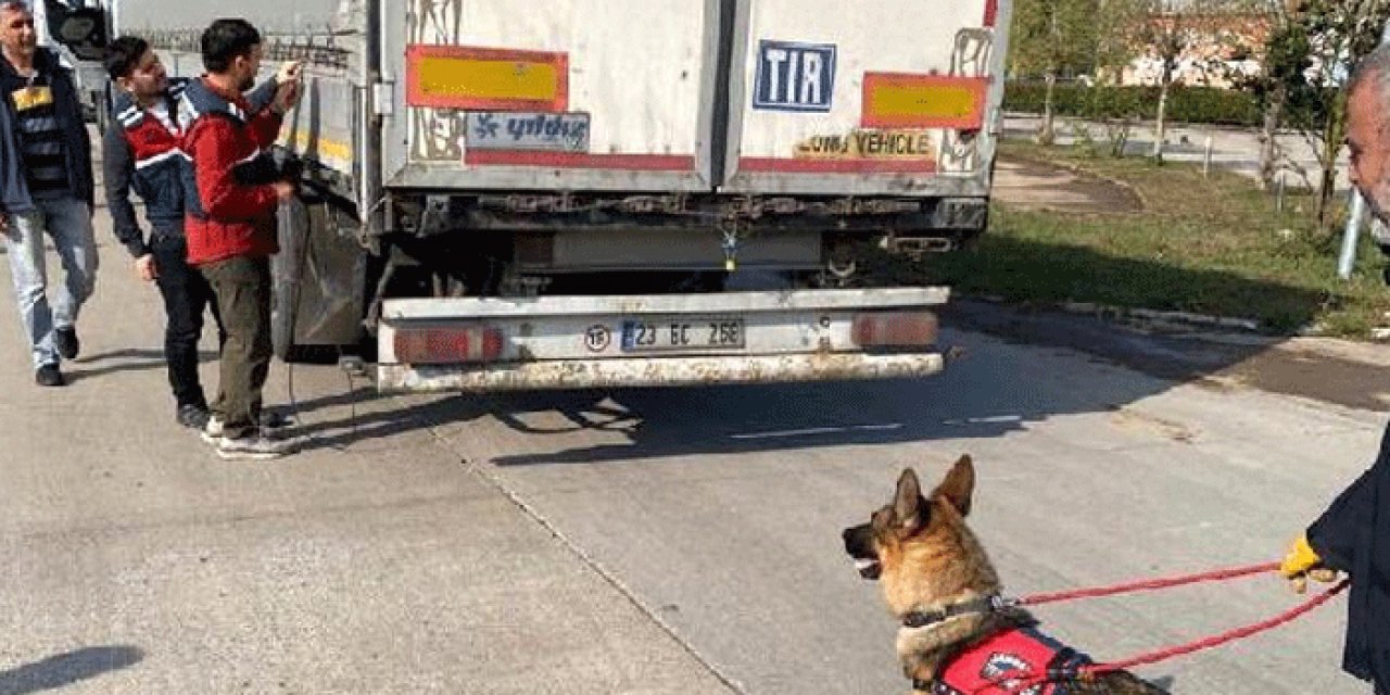 Kaçak göçmen operasyonu: 39 organizatör yakalandı