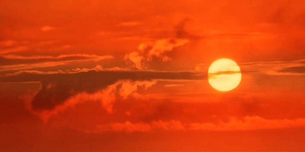 Aşırı sıcaklar sonrası DSÖ'den acil ortak eylem çağrısı