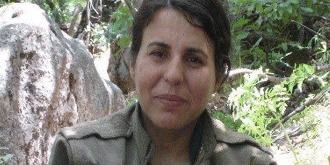 Gri kategoride aranan PKK'lı etkisiz hale getirildi