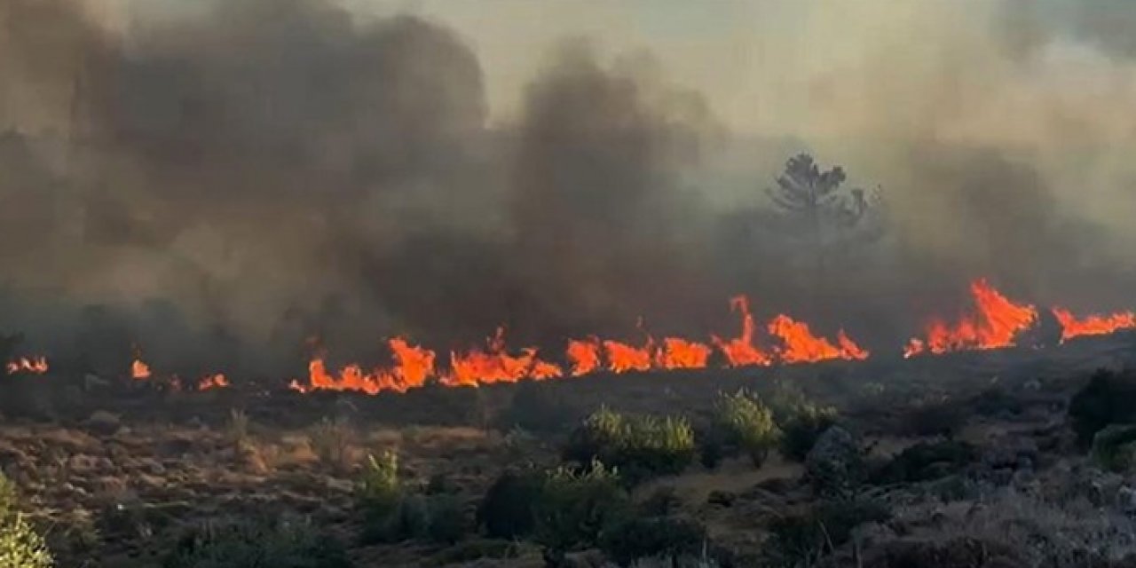 Bodrum'da makilik yangını kontrol altına alındı