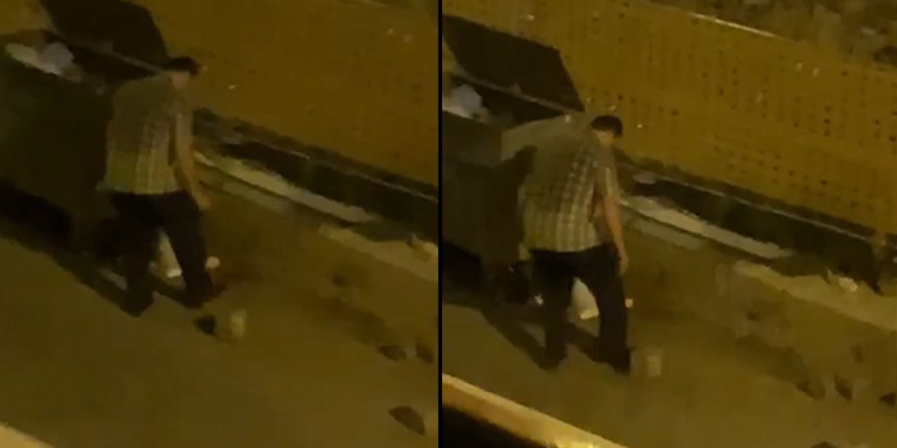 Kediler vahşice öldürüp kaçtı