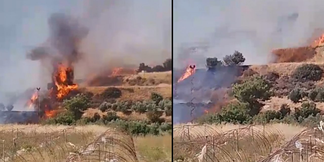 Zeytinlikte çıkan yangın ormana sıçradı