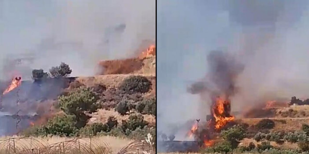 Zeytinlikte çıkan yangın ormana sıçradı