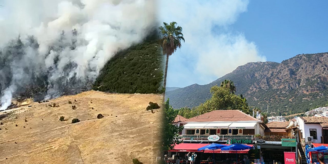 Orman yangınları bitmiyor