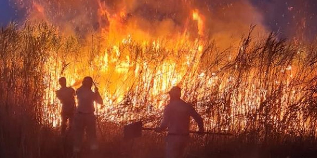 Siirt'te sazlıkta yangın çıktı
