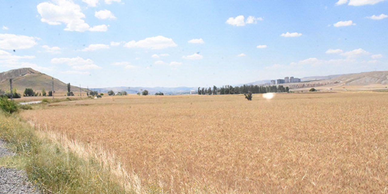Atık şişeler tarla yangınlarına neden oluyor