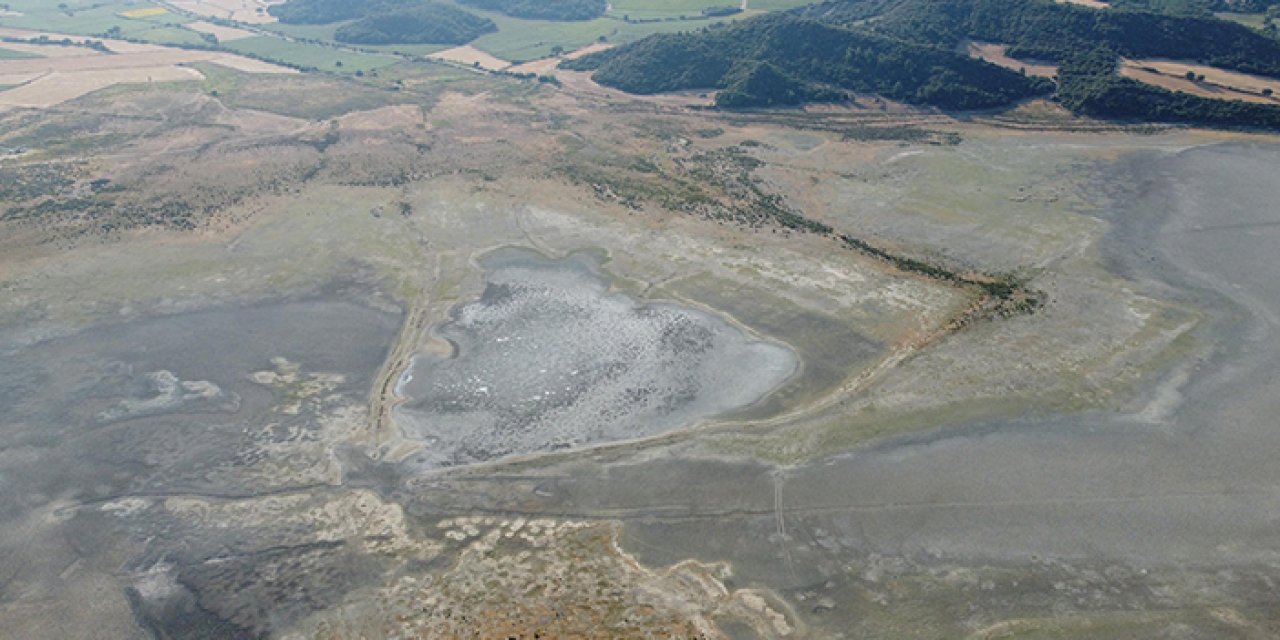 Göçmen kuşların uğrak noktası kurudu