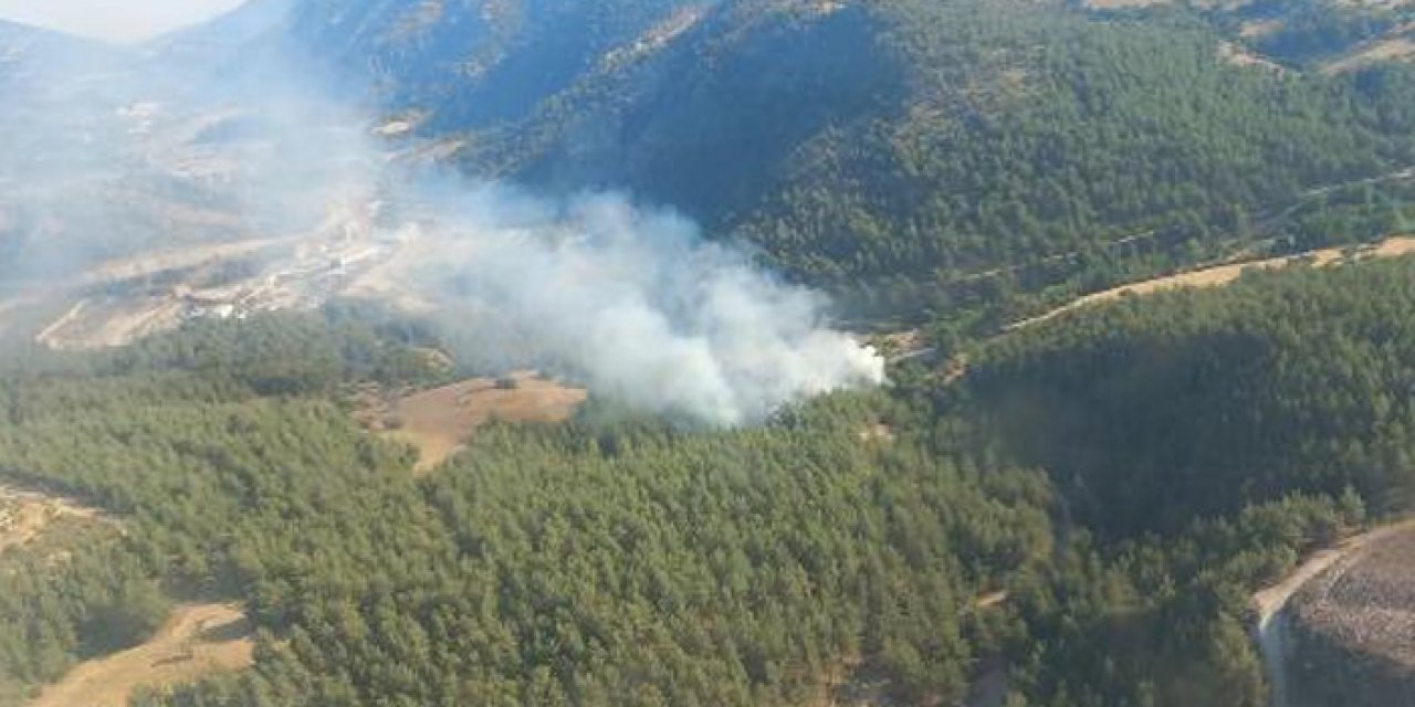 İzmir'de çıkan orman yangınına müdahale ediliyor
