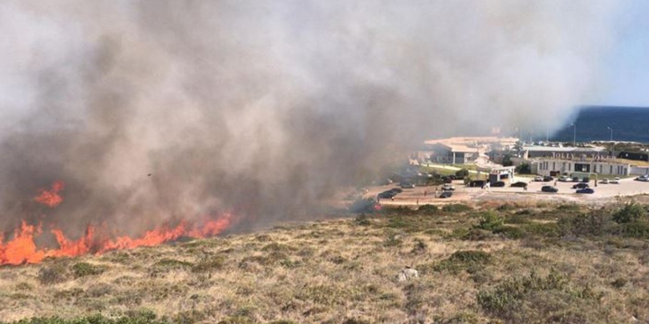 İzmir'de orman yangını kontrol altında