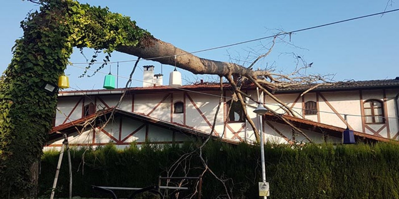 Çınar ağacı villanın çatısına devrildi