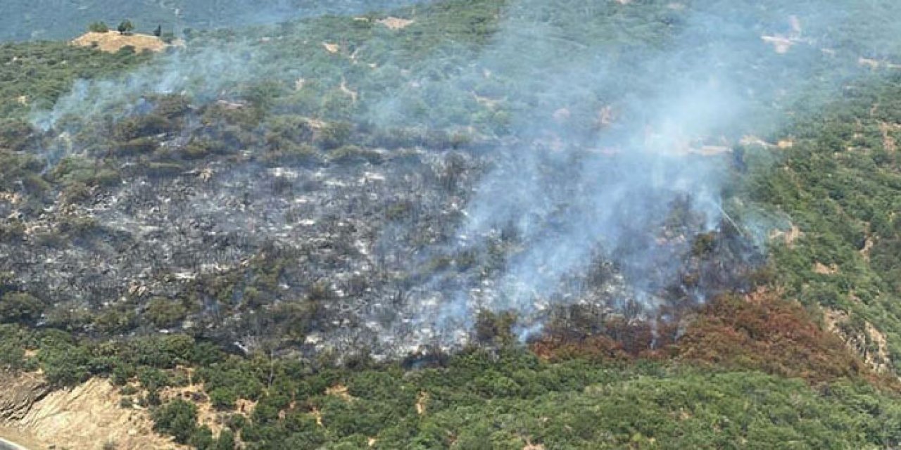 Otomobilde çıkan yangın ormana sıçradı