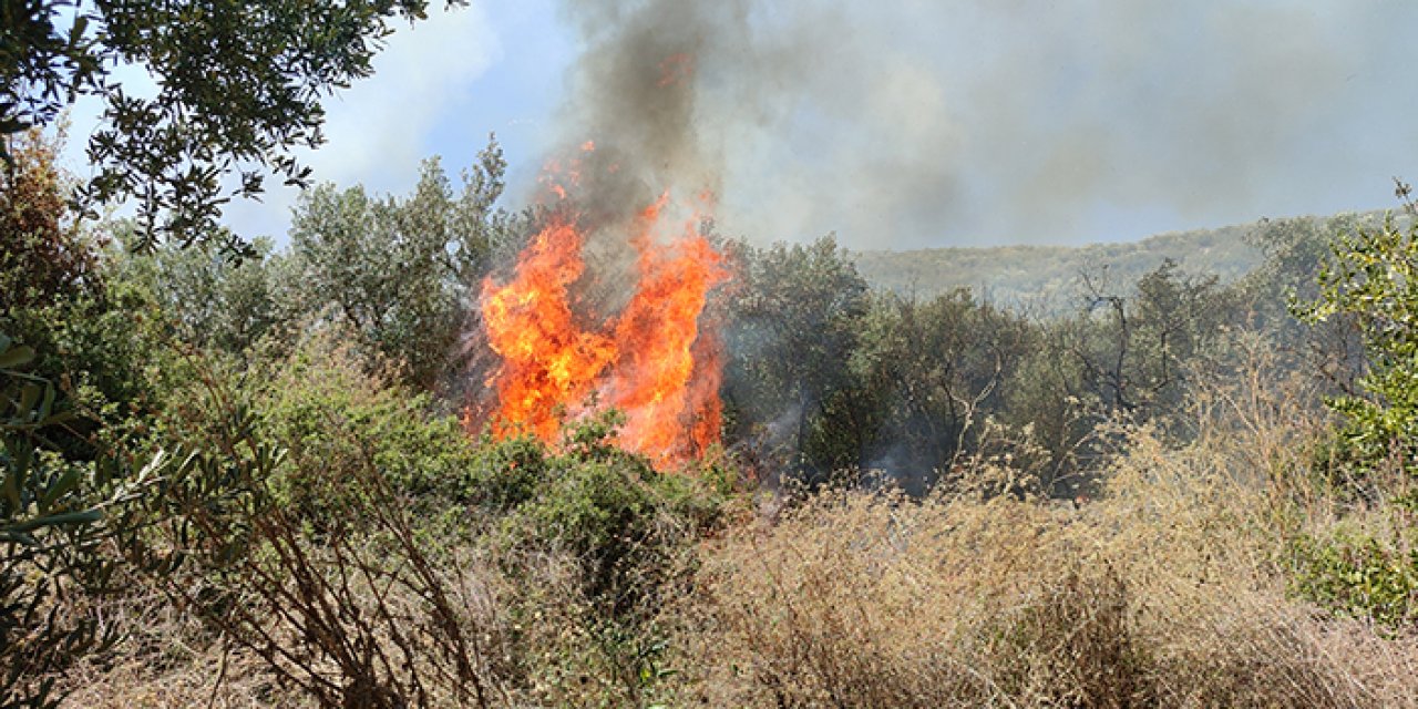 Bursa'da 2 farklı noktada yangın