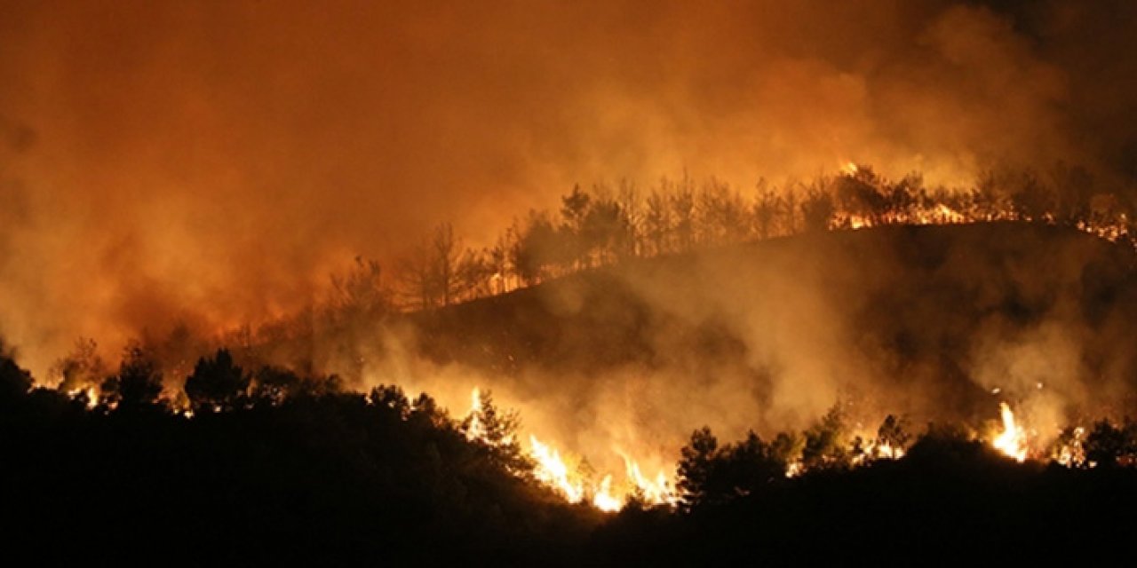 Hatay'da orman yangını: 4 kişiye gözaltı